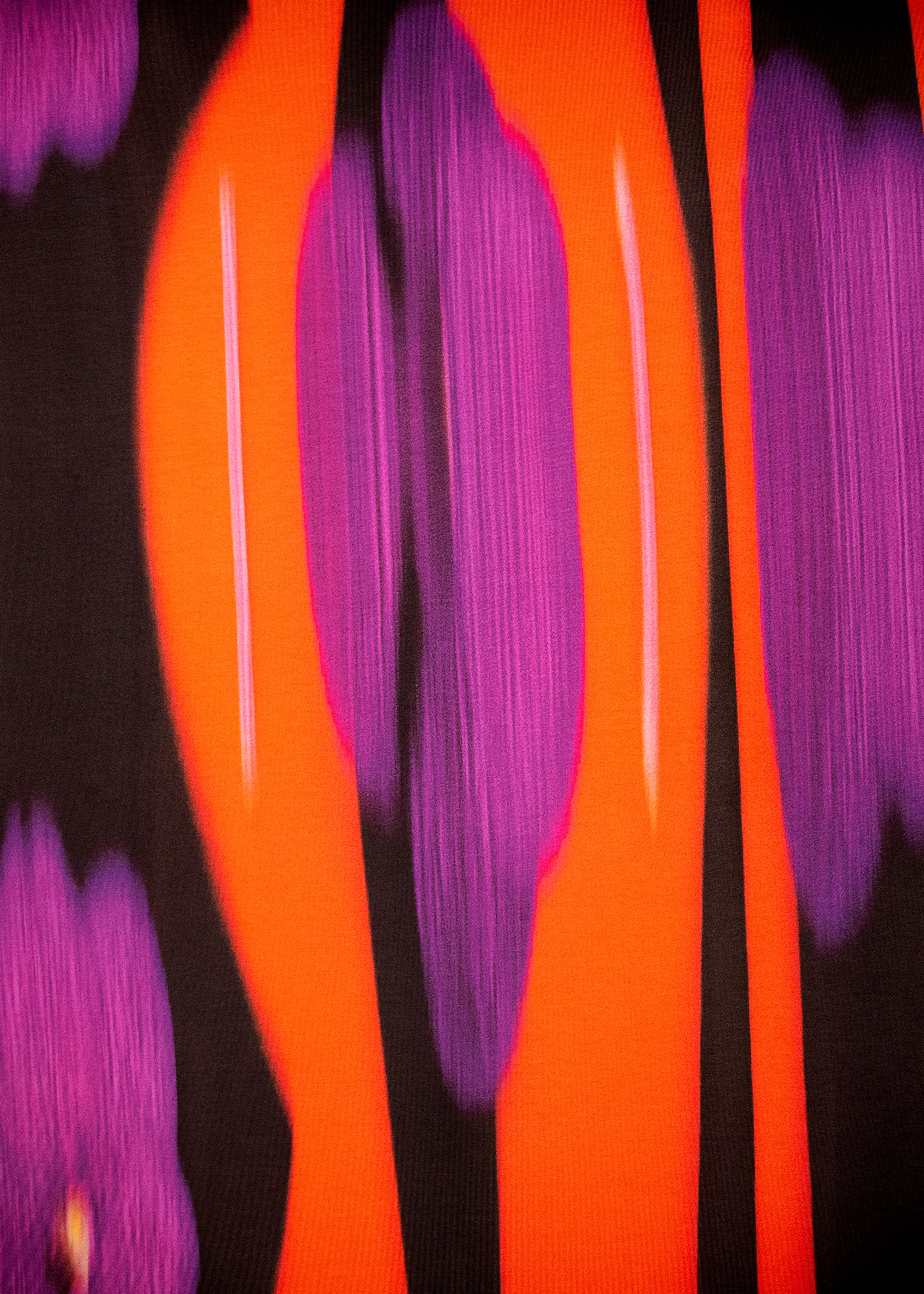 shorts // floripa print