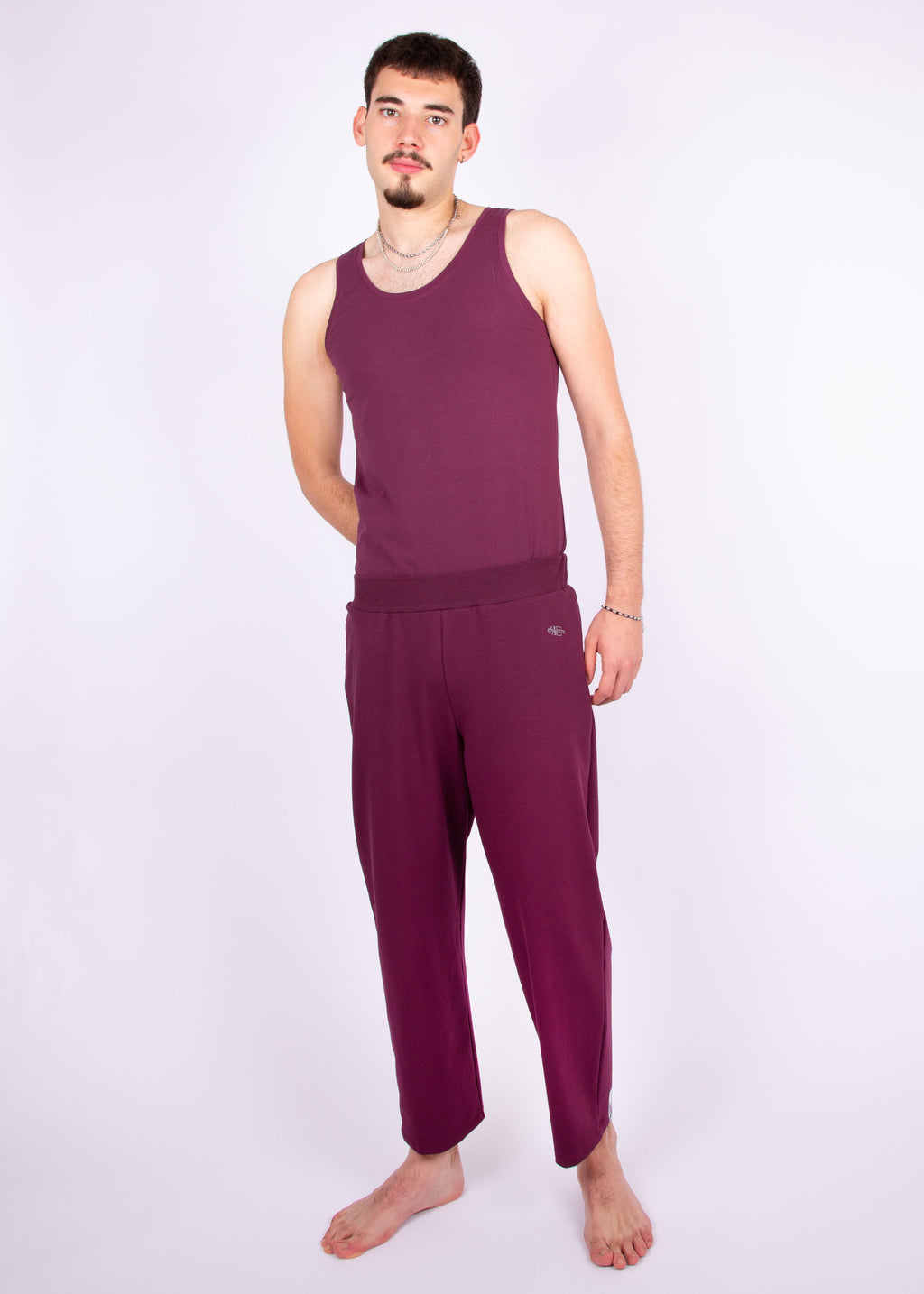 pants // aubergine red