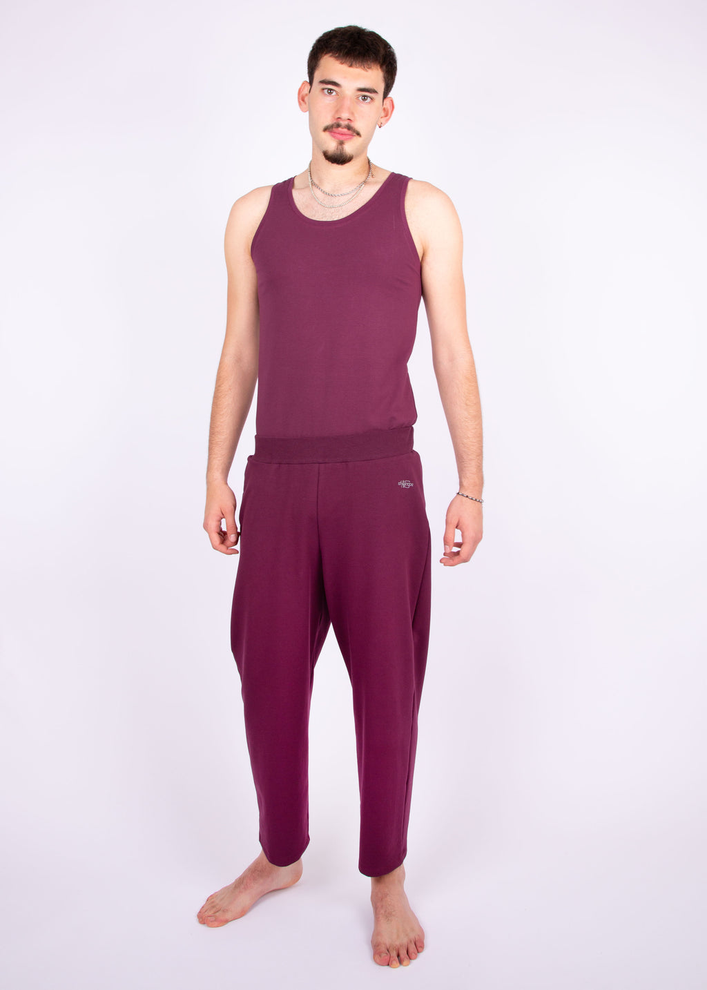 pants // aubergine red