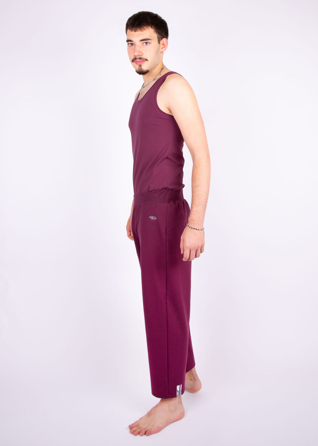 pants // aubergine red