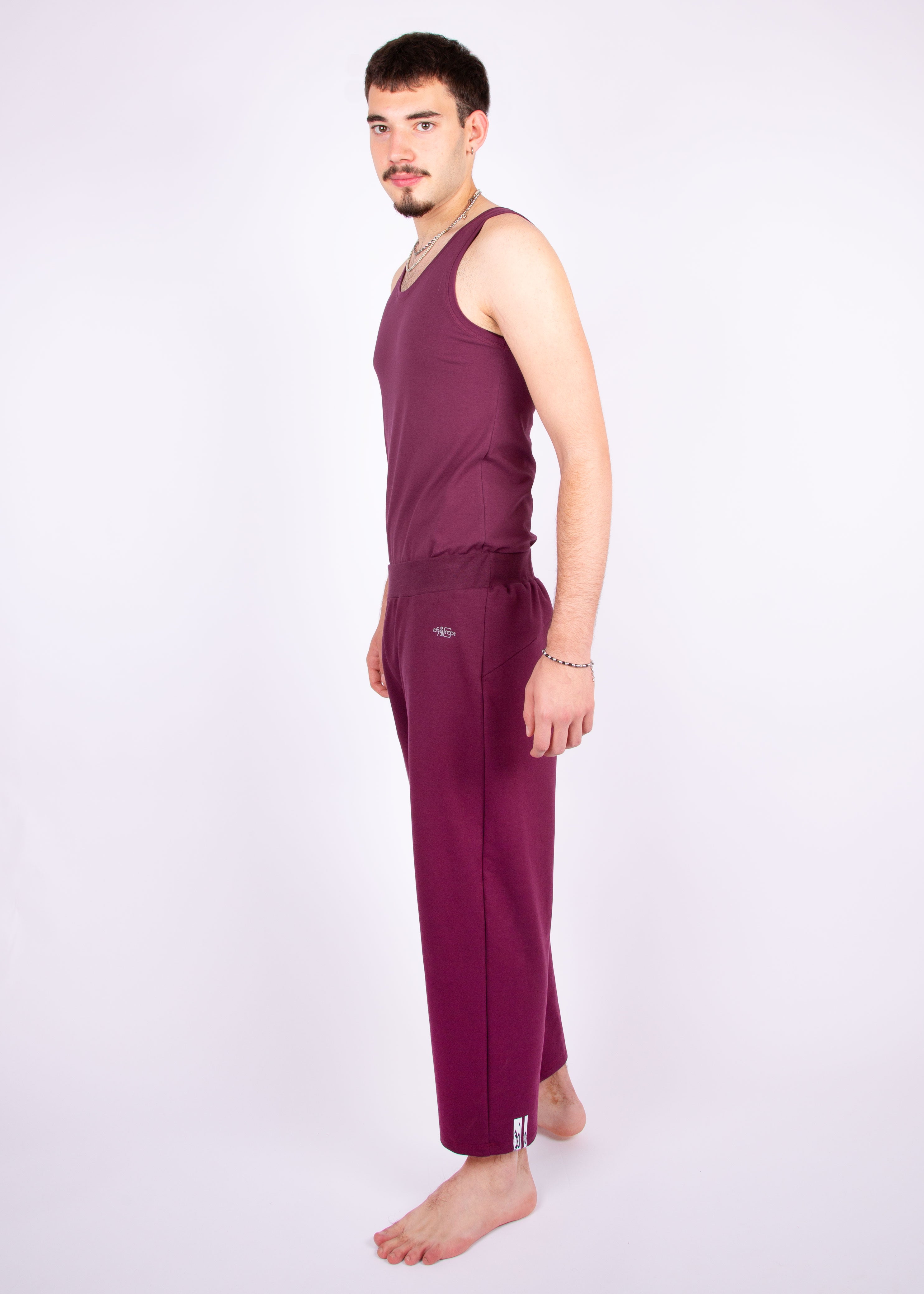 pants // aubergine red